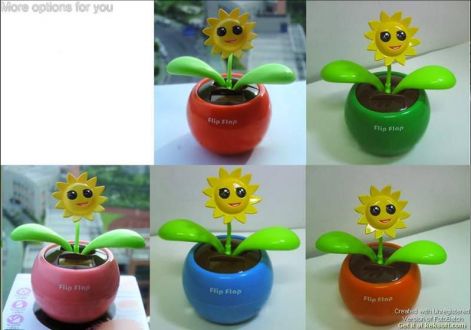 flip_napraf.jpg flip_napraf.jpg