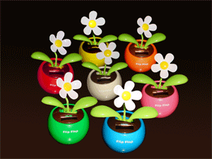 flipflap_virag.gif flipflap_virag.gif